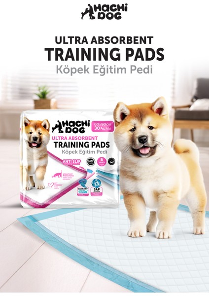 Köpek Eğitim Pedi 60X90 Kaydırmaz Bantlı 120 Adet 5 Katmanlı modelleri
