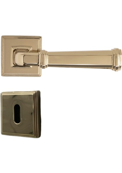 Rodın Rozetli Kapı Kolu Gold Renk Oda Rozetli