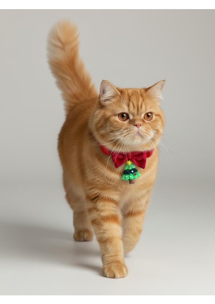 Christmas Tree Yılbaşı Kedi Papyon Tasması | Kırmızı Fiyonk Boyun Aksesuarı | Noel Temalı Kedi Süsü fiyatları
