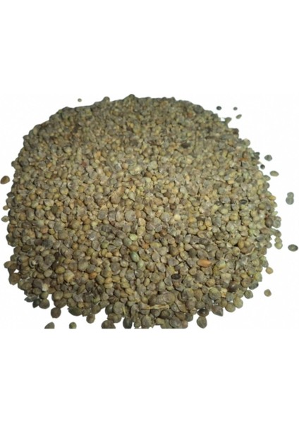 Ispanak Tohumu 30 gr