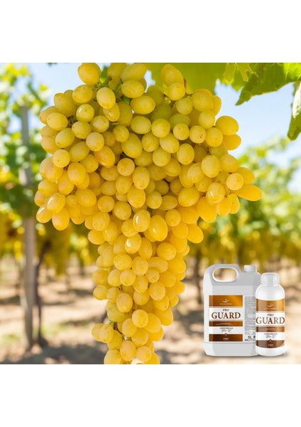 Proguard 5 Lt – Bitki Yüzey Koruyucu ve Temizleyici | Güneş Yanığı ve Çatlamaya Karşı Koruma, Yüzey Parlatıcı modelleri