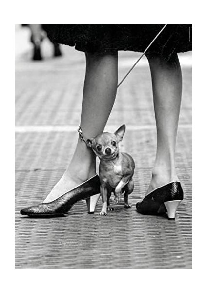 - 1000 Parça Lıfe Yetişkin Puzzle - 4 fiyatları