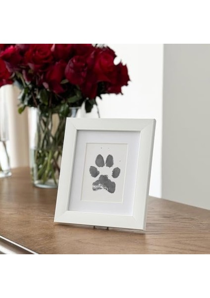 Tekli Evcil Hayvan Pati Izi ve Fotoğraf Çerçevesi - Kedi Köpek ve Kuş ile Uyumlu - Sadece Çerçeve fiyatları