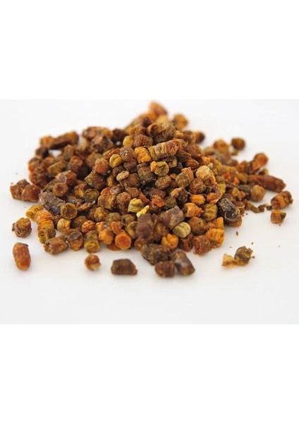 Perga (Arı Ekmeği)