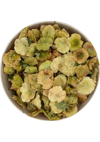 Karaçalı Dikeni 100 gr