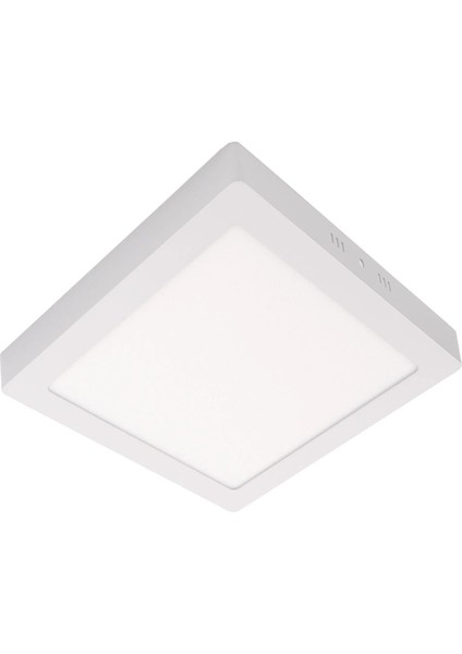 18W LED Panel Sıva Üstü Beyaz Kasa 6500K Gate