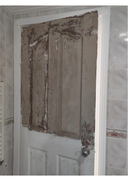 Ahşap Boya Sökücü Sol Rem Vdn 250ml fırsatları