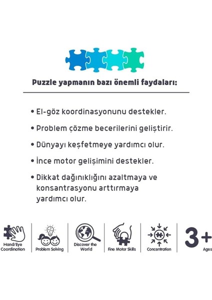 Focus 100 Parça - (Gezegenler) fiyatları