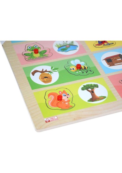 ONY-363-364 Ahşap Tutmalı Eşleştirme Hangi Hayvan Nerede Yaşar -Onyıl fiyatları