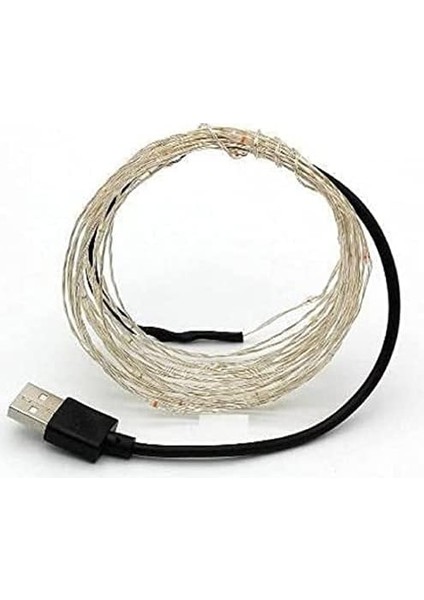 Peri LED 10 Metre USB Girişli modelleri