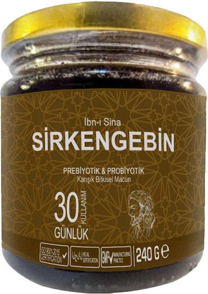 Ibn-I Sina Sirkengebin: Sirke Bal Sarımsak Içerikli Lezzetli Aromatik Prebiyotik Macunu