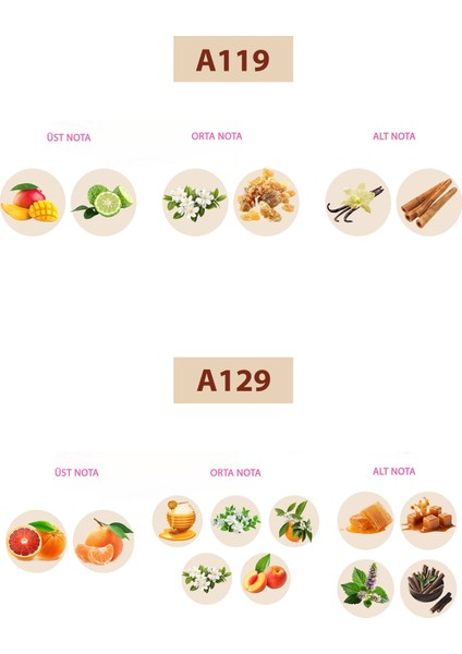 Bacera A119 Floral Kadın Parfüm 50ML Edp A129 Floral Kadın Parfüm 50ML Edp fiyatları