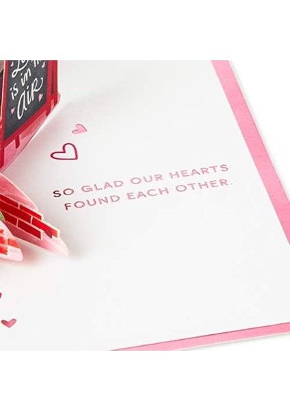 Signature Wonder Pop Up Sevgililer Günü Kartı, Aşk Kartı, Yıl Dönümü Kartı ( And The Tramp) fiyatları