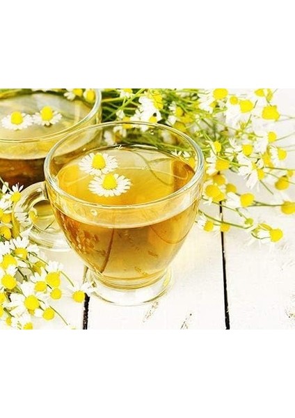 Beta Papatya Çiçeği 50 gr fiyatları