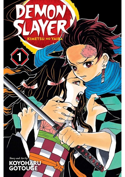 Slayer: Kimetsu No Yaiba, Vol. 1: Volume 1