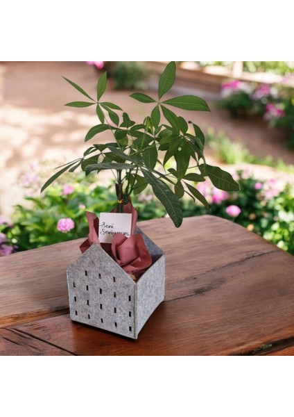 Dekoratif Keçe Saksı ve Organizer Sepet – Gri, 20X20X25 Cm, 3 mm Kalınlıkta Çok Amaçlı Keçe Saklama Kutusu (1 Adet)