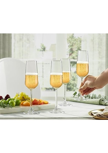 Allegra Şampanya Kadehi 195 cc fiyatları