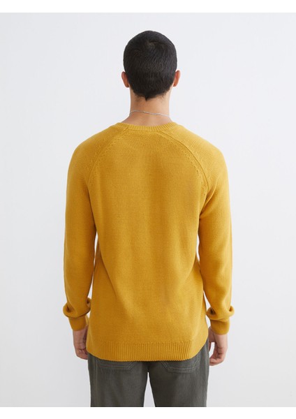 Yeni Sezon Bisiklet Yaka Erkek Triko Kazak fırsatları