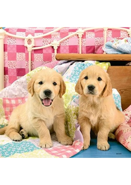 3X49 Parça Puzzle Puppies Renkli 3+ modelleri