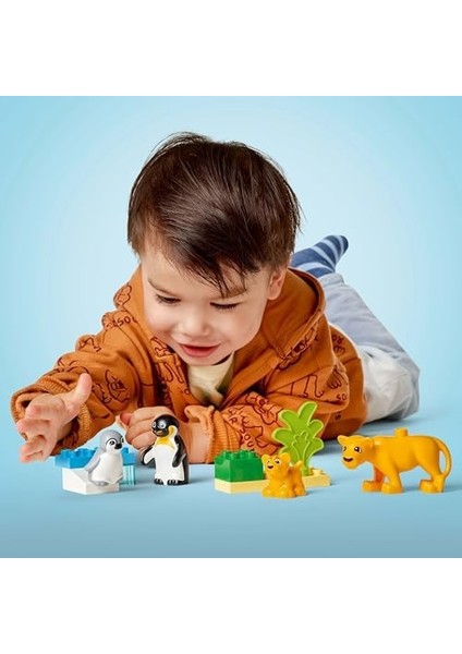Town Vahşi Hayvan Aileleri: Penguenler ve Aslanlar 10442-2 Yaş ve Üzeri Çocuklar Için Eğitici ve Yaratıcı Oyuncak Yapım Seti (10 Parça) fiyatları