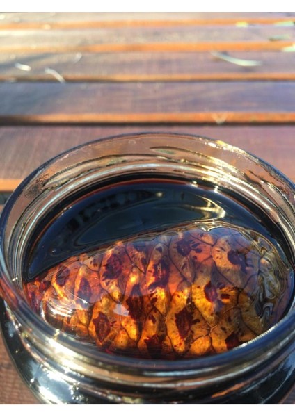 Kozalak Pekmezi fiyatları