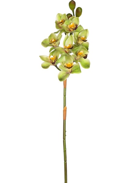 Yapay Orkide Gerçek Dokulu Yeşil 75 Cm.