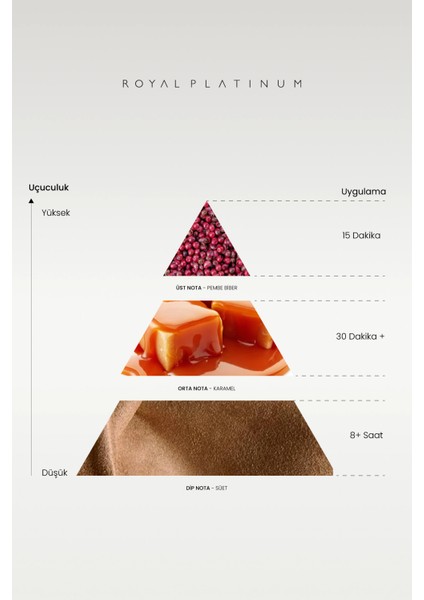 M502 Erkek Parfüm fiyatları