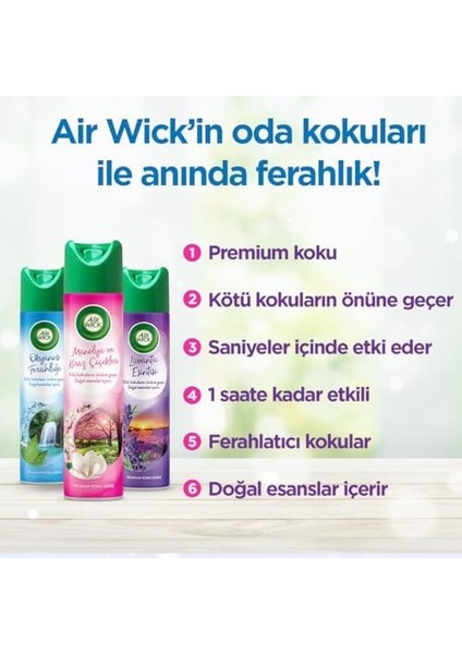 Air Wick Aerosol Premium Koku Serisi Okyanus Ferahlığı Sprey Oda Kokusu (1 x 300 Ml)