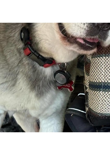 Uyumlu Kılıf Anahtarlık - Beyaz fiyatları