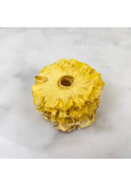 Kurutulmuş Ananas Dilimleri 100 gr. fiyatları