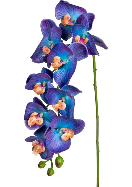 Yapay Orkide Gerçek Dokulu Mor-Mavi 95 Cm.