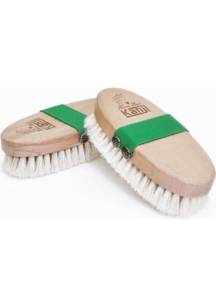 %100 Doğal At Kılı Masaj ve Kuru Fırçalama Için Yeşil Kemerli Vücut Peeling Selülit Fırçası