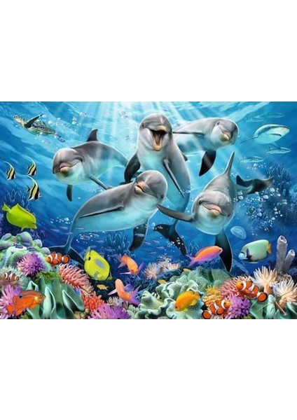 500P Puzzle Yunuslar, Yapboz modelleri