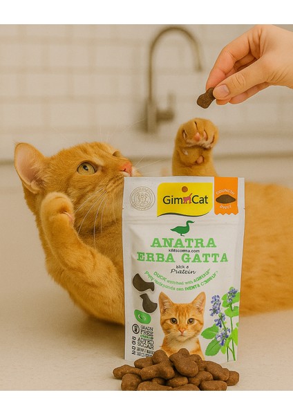 Crunchy Snacks Ördekli ve Kedi Naneli Tahılsız Kedi Ödülü (50 Gr) fırsatları