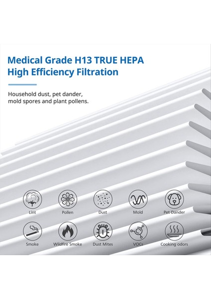3000 Yedek Filtreler Bir Doktorla Uyumlu 3000 4in1 Ev Hava Temizleyici H13 True Hepa ve Ekstra Carbn Ön Filtreler (Yurt Dışından)