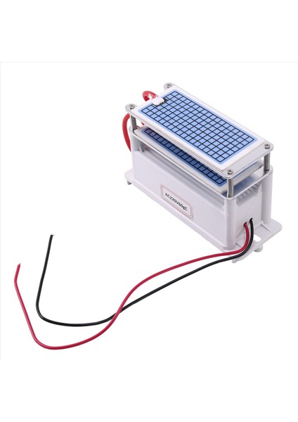 2x 60G/S Ozon Jeneratör Hava Temizleyici Ozonizer Temizleyici Arıtma Formaldehit Koku Ozon Makinesini Kaldır (Yurt Dışından)