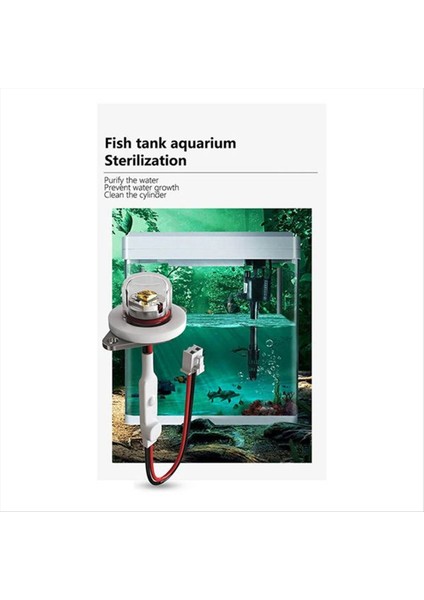 2pcs DC12-24V Uvc 270-280NM Ultraviyole Su Arıtörü Dezenfeksiyon Pet Su Dispenser LED Dezenfeksiyon Modülü (Yurt Dışından)