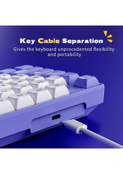 Ajazz AK870 Mc Kablolu Mekanik Oyun Klavyesi Mor Klavye Red Switch fiyatları