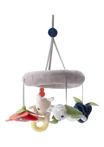 Gullıgast Dönence, Çok Renkli