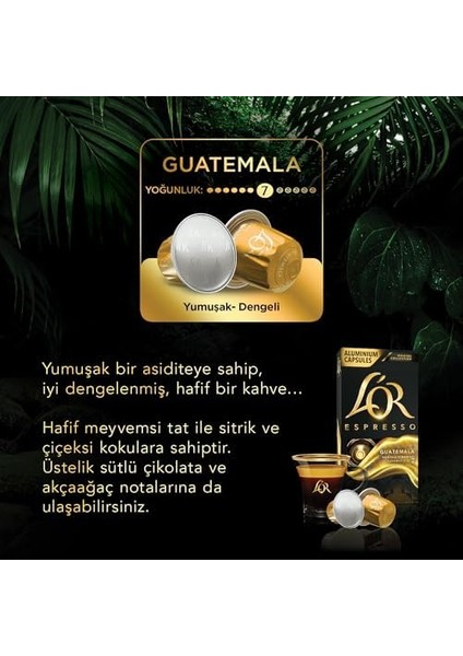 L'or - Espresso Kahve - Guatemala - Origins Collection - Yoğunluk 7 - Yumuşak ve Dengeli Notalar - 1 Paket x 10 Alüminyum Kapsül