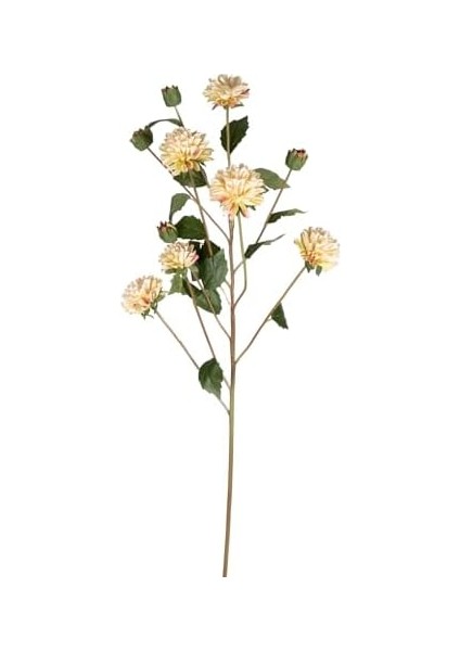 Krizantem Krem 77 Cm. fiyatları