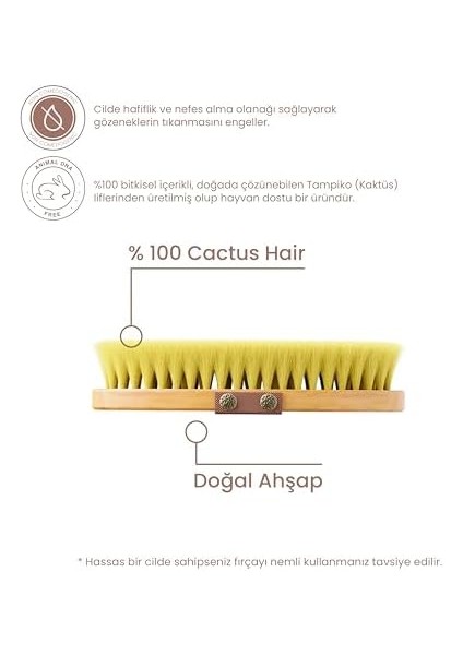 %100 Kaktüs Kılı Pürüsüzleştirici Vücut Fırçası fiyatları