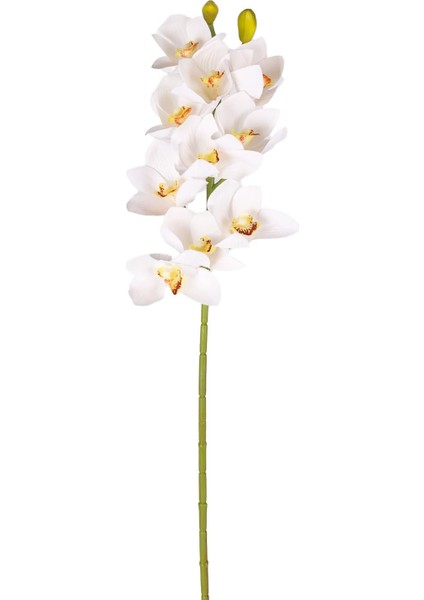 Yapay Orkide Gerçek Dokunuş Beyaz-Sarı 75 Cm.