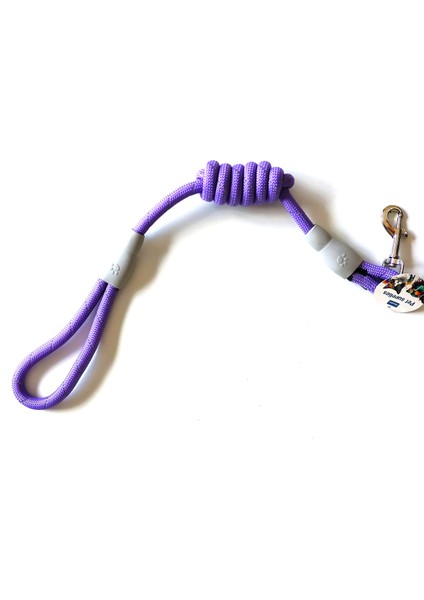 Evcil Hayvan Köpek Fitil Gezdirme