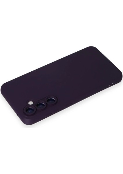 Newface Samsung Galaxy S24 Kılıf Nano Içi Kadife Silikon - Mor modelleri