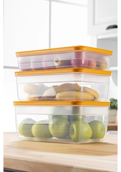 Tupper Model - Vakumlu - Mikrodalga Buzluk Saklama Kabı 3,8lt modelleri