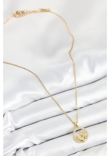 316L Çelik Zirkon Taşlı Yıldız ve Kalp Model Gold Renk Kadın Kolye fiyatları