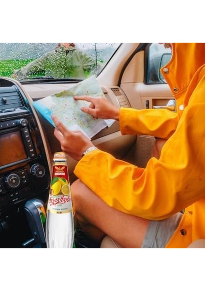 Zedazeni Limon - Georgian Lemonade 500 ml Cam Şişe modelleri