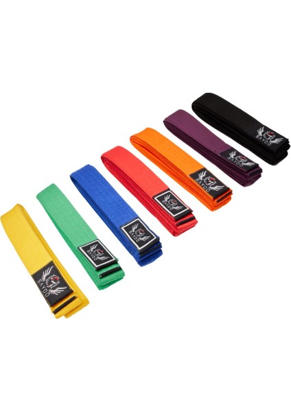 Karate/taekwondo Kemeri modelleri