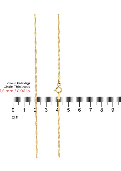 Singapur Altın Zincir Kolye 14 Ayar modelleri